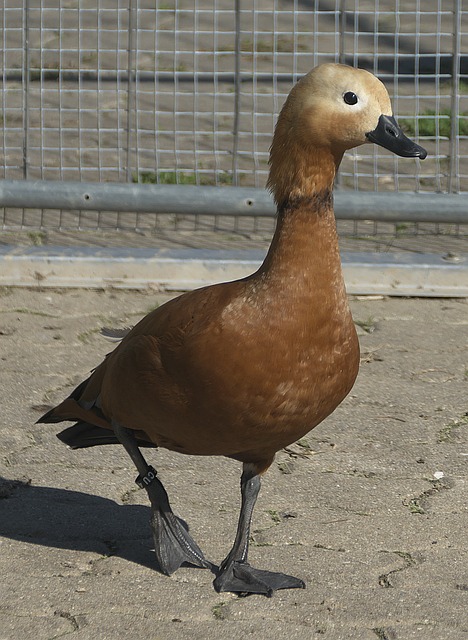 与过往