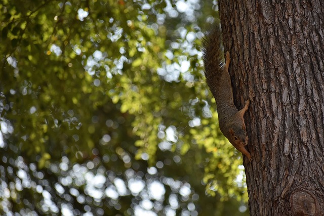 塔吉克斯坦 塔吉克斯坦