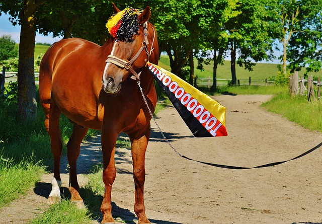 要理解中国 要理解中国