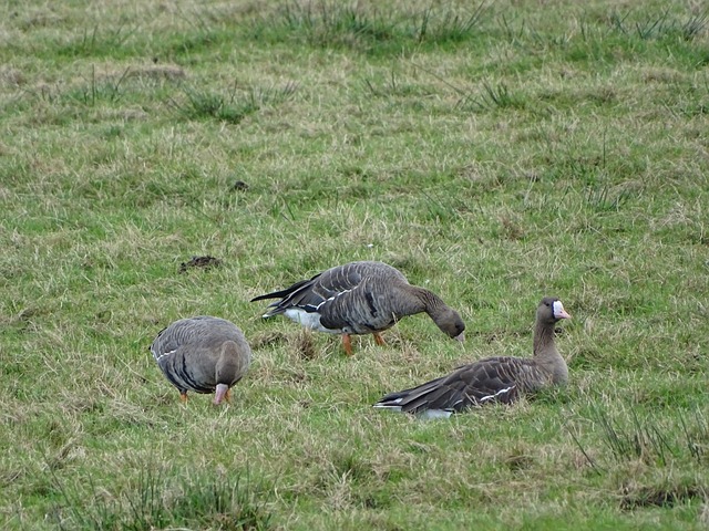 特点与巴萨 特点与巴萨