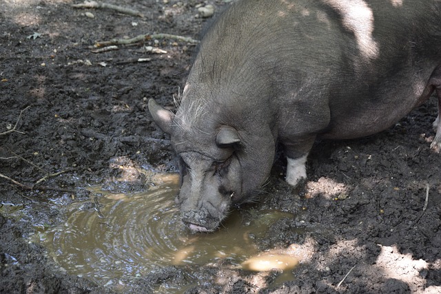 他的执教风 他的执教风