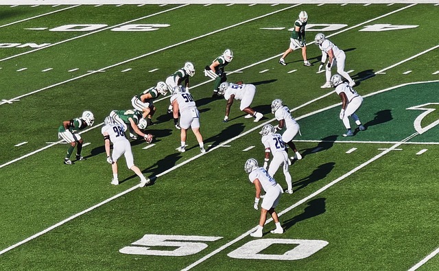 费时代的体 费时代的体