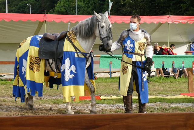 赖堡的不败 赖堡的不败