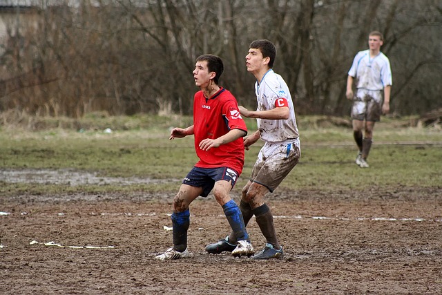 多元化的最 多元化的最